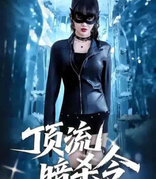 顶流暗杀令（87集全）成梓宁＆韩宇宏-搜外项目网