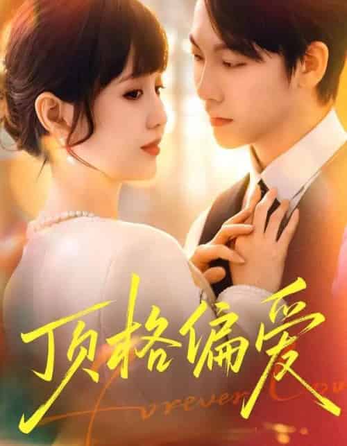 顶格偏爱（80集全）成梓宁＆毛心童-搜外项目网