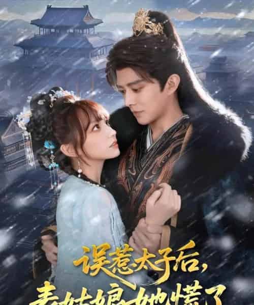 误惹太子后,表姑娘她慌了(80集全)王朝阳&范薇-搜外项目网