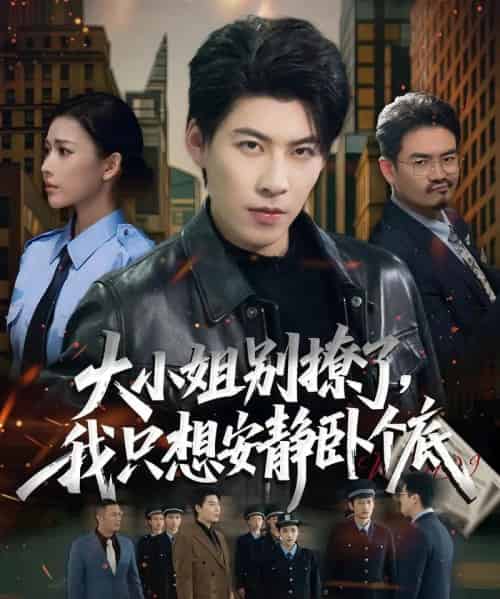 大小姐别撩了,我只想安静卧个底(80集全)乔婉宁&王为洋-搜外项目网