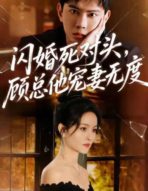 闪婚死对头，顾总他宠妻无度（90集全）黄浩雯＆吴鑫-搜外项目网