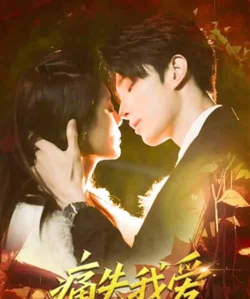 痛失我爱（60集）裘哲夫＆方梨-搜外项目网