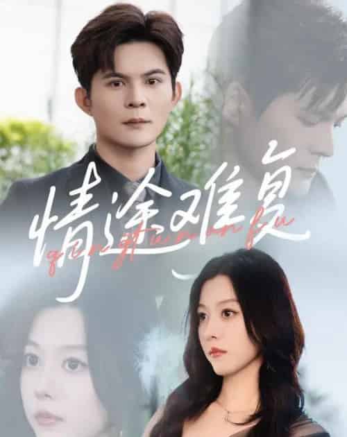 情途难复(50集)李金金&祈乐-搜外项目网