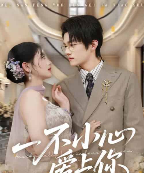 一不小心爱上你(64集全)嘉言&潘慧敏-搜外项目网