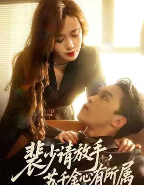 裴少请放手，苏千金心有所属（77集全）高张博＆张新涵-搜外项目网