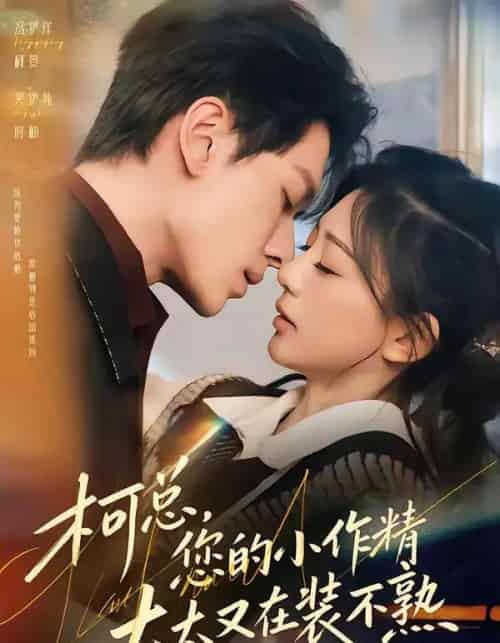 柯总，您的小作精太太又在装不熟（80集全）冯伊洋＆吴伊纯-搜外项目网