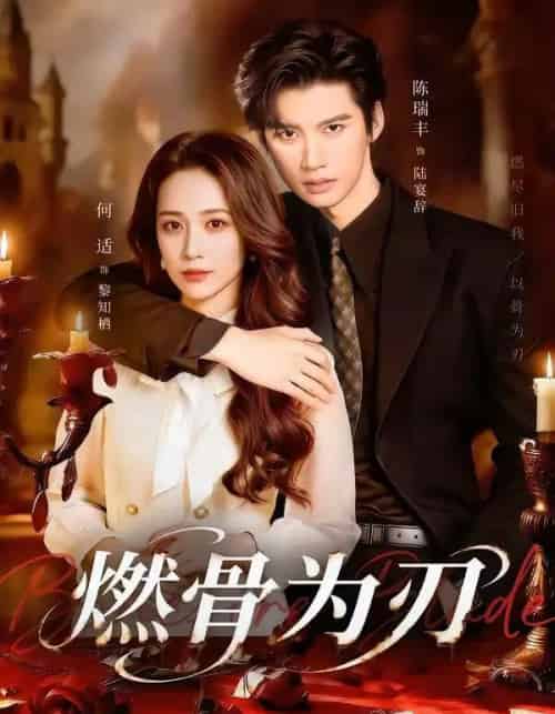燃骨为刃(62集全)陈瑞丰&何适-搜外项目网