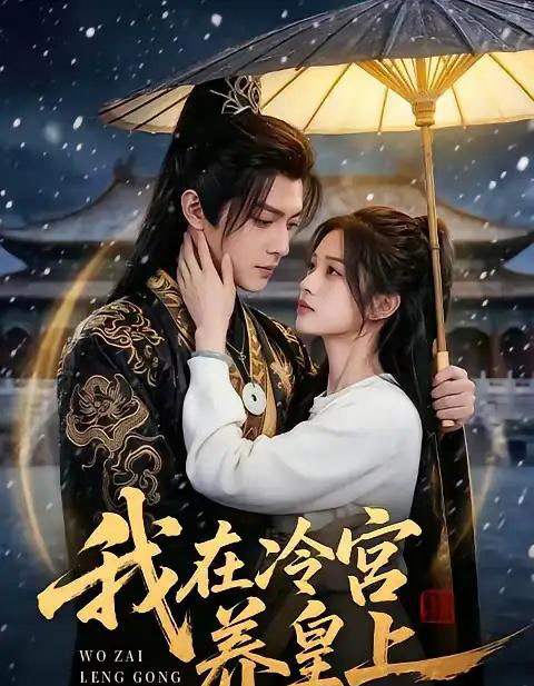 我在冷宫养皇上（45集全）AI-搜外项目网