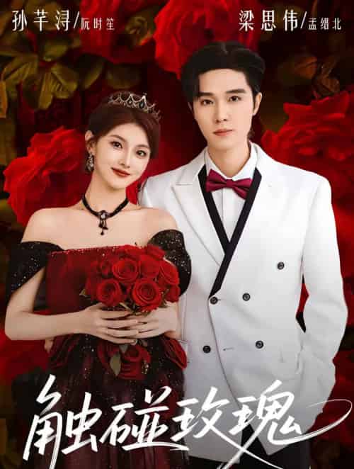 触碰玫瑰（80集全）梁思伟＆孙芊浔-搜外项目网