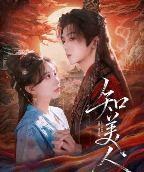 知美人（81集全）周恒宇＆李智颖-搜外项目网