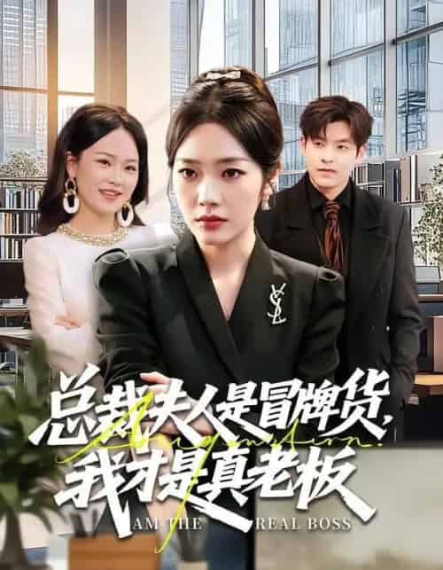 总裁夫人是冒牌货，我才是真老板（66集全）铭汐＆刘皓煜＆陶律＆谢兰秀-搜外项目网