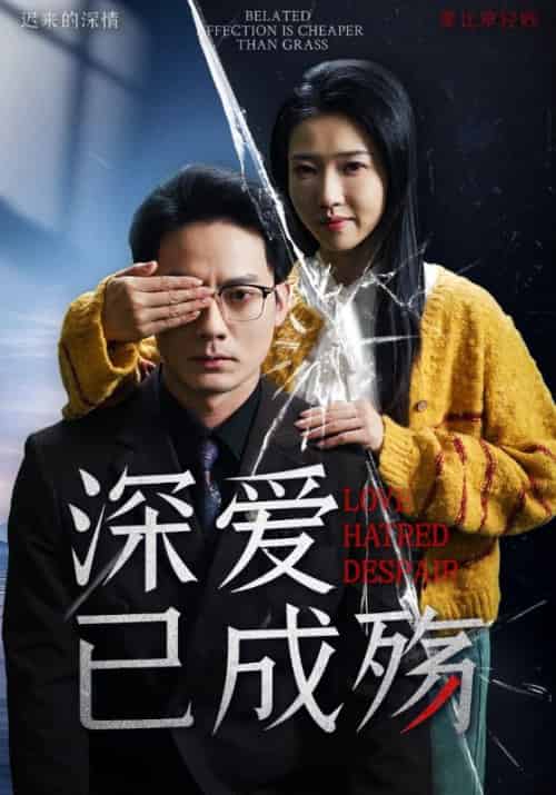 深爱已成殇（52集全）程泽章＆张启璇-搜外项目网