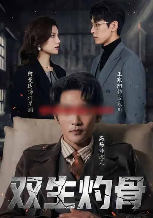 双生灼骨（60集全）王寒阳＆阿曼达＆高杨-搜外项目网