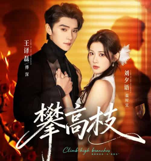 攀高枝（70集全）王译磊＆刘夕语-搜外项目网
