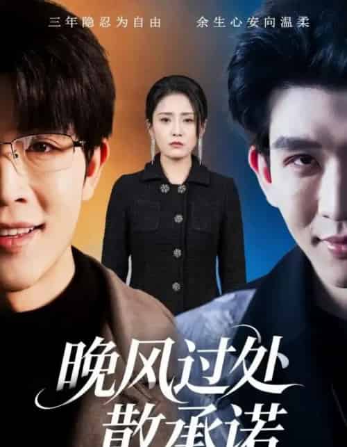 晚风过处散承诺（65集全）王裕博＆宋暖-搜外项目网