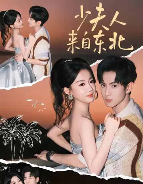 少夫人来自东北（80集全）梁雯晶＆业文-搜外项目网