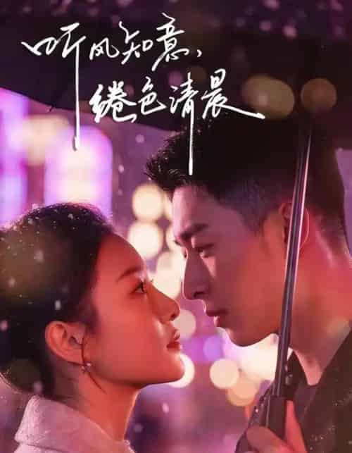 听风知意，绻色清晨（69集全）黄渲文＆刘川榆-搜外项目网