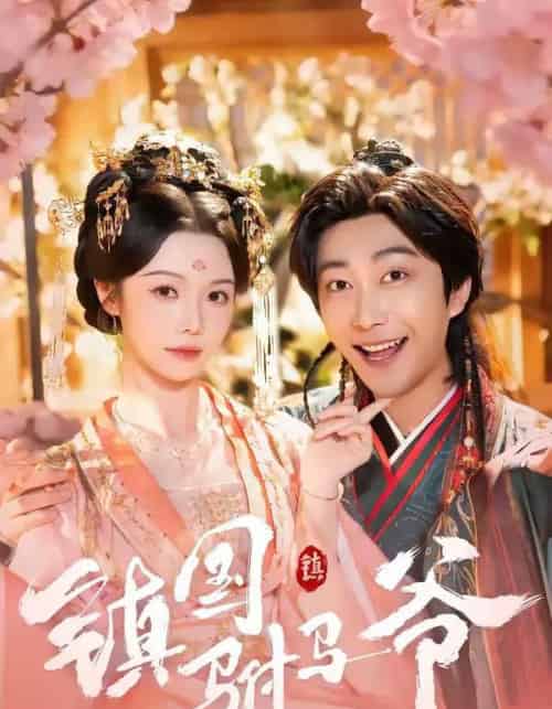 镇国驸马爷（92集全）寇诗翎＆李云鹏-搜外项目网