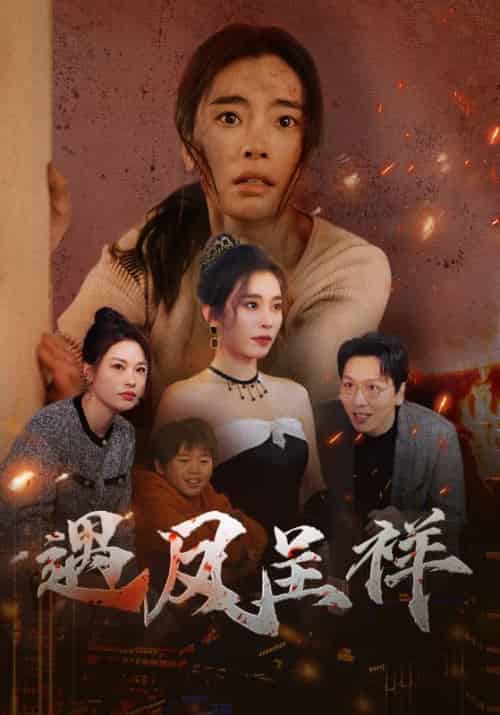 遇凤呈祥（50集全）张晓楠-搜外项目网