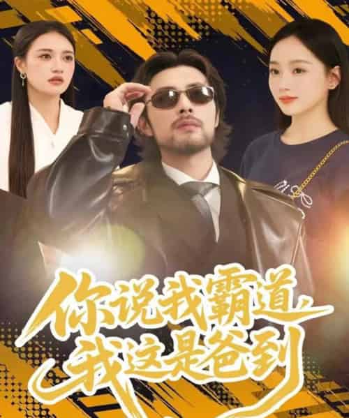 你说我霸道,我这是爸到(70集全)吴鑫尊&席文君-搜外项目网