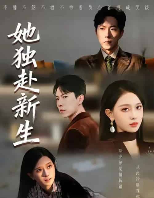 她独赴新生(64集全)陈一孚&高钊宇-搜外项目网