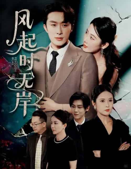 风起时无岸（58集）金鑫欣＆叶庭＆陈酉昔-搜外项目网