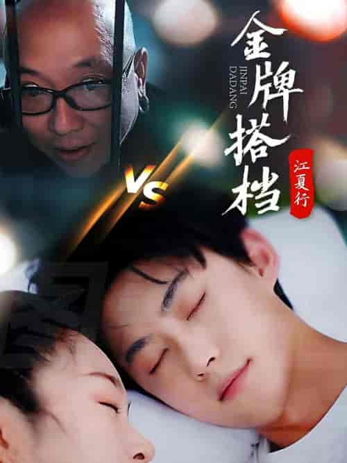 江夏行金牌搭档（58集全）李木杨-搜外项目网