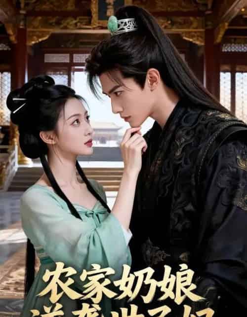 农家奶娘逆袭世子妃（50集全）AI-搜外项目网