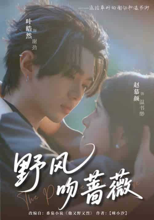 野风吻蔷薇（78集全）叶皓然＆赵慕颜-搜外项目网