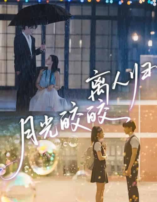 月光皎皎离人归（70集全）马應露＆李丫丫-搜外项目网