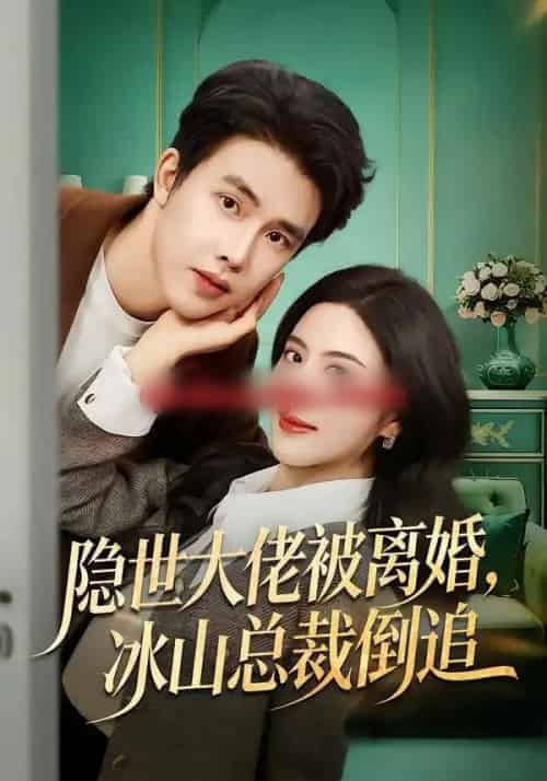 隐世大佬被离婚，冰山总裁倒追（80集全）陆绎方＆朱梦茹-搜外项目网