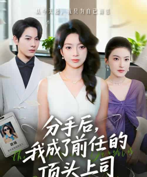分手后我成了前任的顶头上司(75集全)柏宇豪&张铭文-搜外项目网