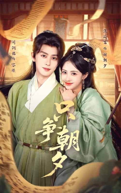 只争朝夕（66集全）康渝茜＆刘润铭-搜外项目网