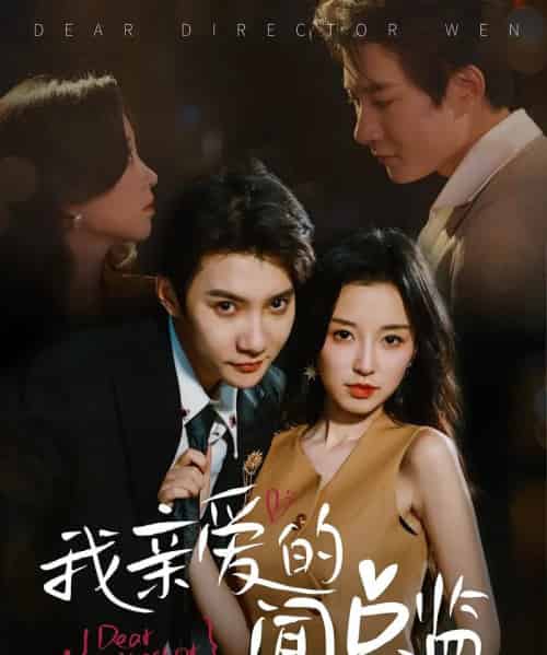 我亲爱的闻总监（64集）白羽＆唐之斐-搜外项目网