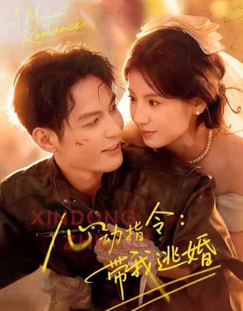 心动指令:带我逃婚&玫瑰窃贼(61集全)黄靖洲(孝太)&王槿-搜外项目网