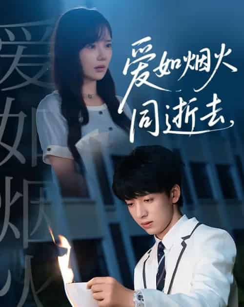 爱如烟火同逝去（51集全）金大钟＆常文景-搜外项目网