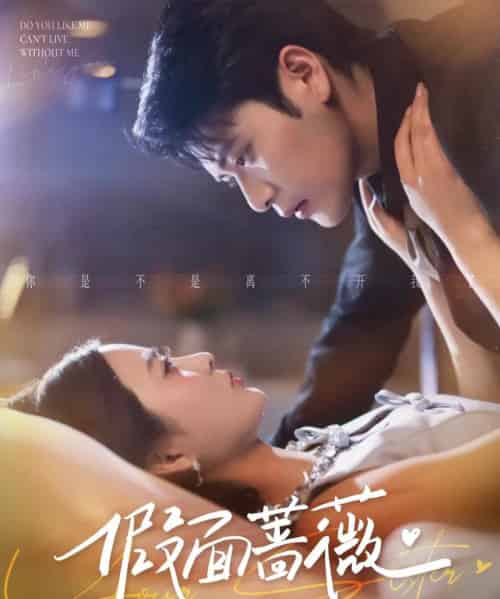 假面蔷薇(62集全)张志伟&刘美娜-搜外项目网