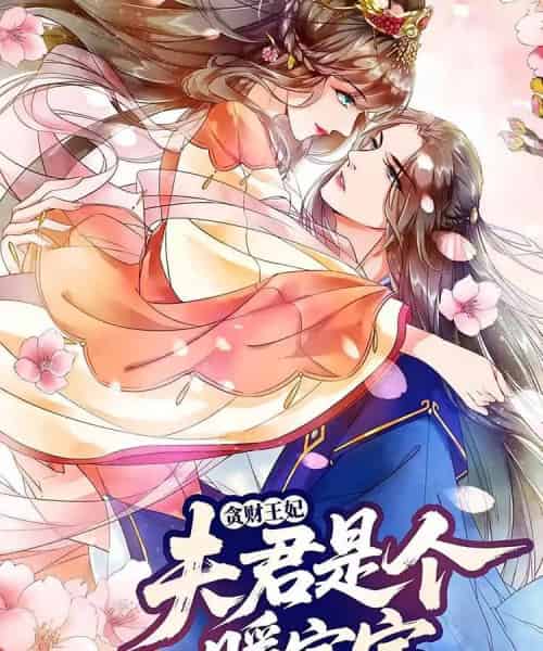 贪财王妃：夫君是个暖宝宝（30集）动漫-搜外项目网