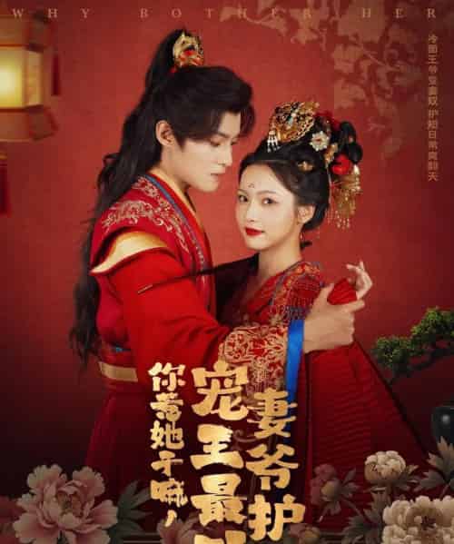 你惹她干嘛,宠妻王爷最护短(74集)谢鸿鑫&羽翎-搜外项目网