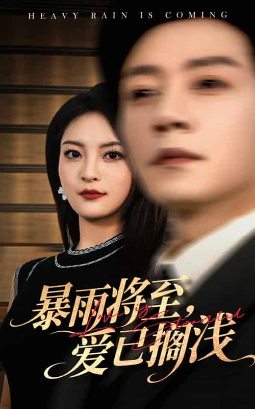暴雨将至爱已搁浅（50集全）宋晨＆伍怡-搜外项目网