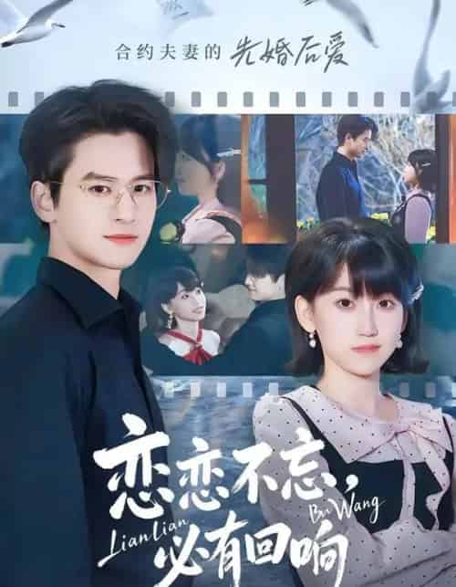 恋恋不忘，必有回响（80集全）张埜＆杨乔语-搜外项目网