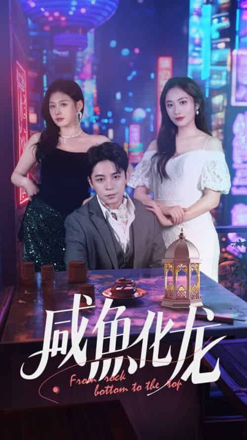 咸鱼化龙（30集全）丁敬一＆生宸-搜外项目网