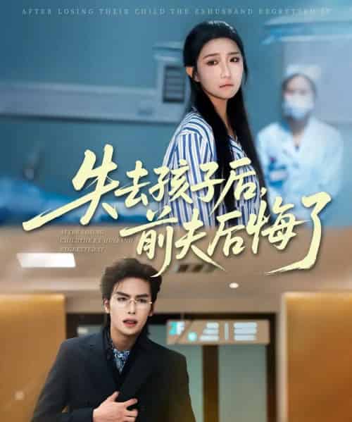 失去孩子后前夫后悔了(76集)吴元成&刘静阳-搜外项目网