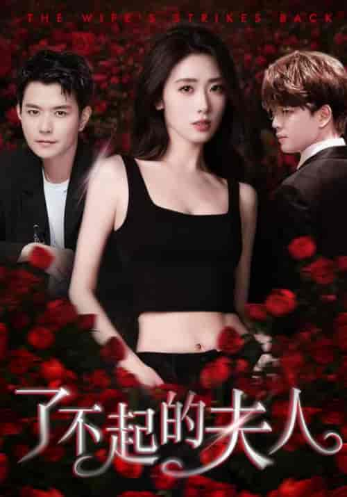 了不起的夫人（51集）章海贝＆乔咏恩-搜外项目网