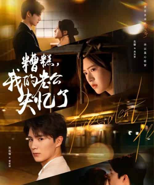 糟糕我的老公失忆了（80集全）刘辰锦＆左馨-搜外项目网