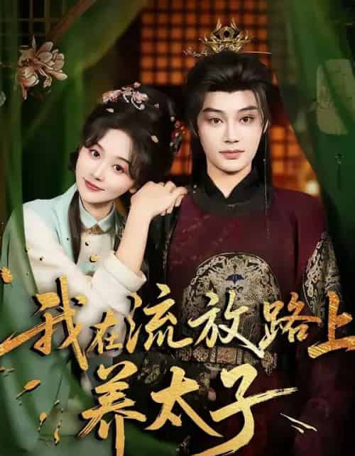 我在流放路上养太子（71集全）柳甯＆刘蓝鸽-搜外项目网