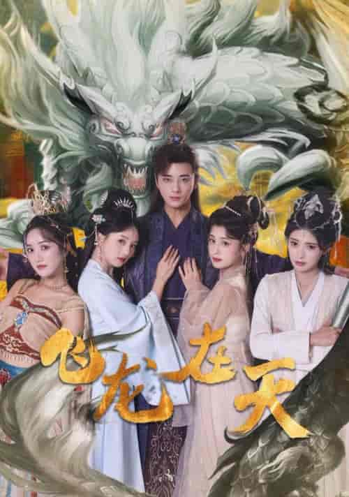 飞龙在天（133集全）李进源＆索菲＆朱湉亿-搜外项目网