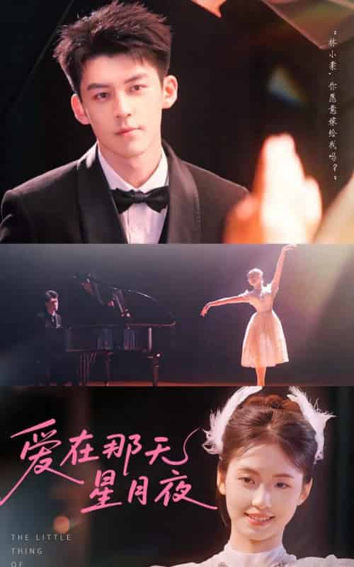 爱在那天星月夜（46集）吕奕豪＆周莲-搜外项目网