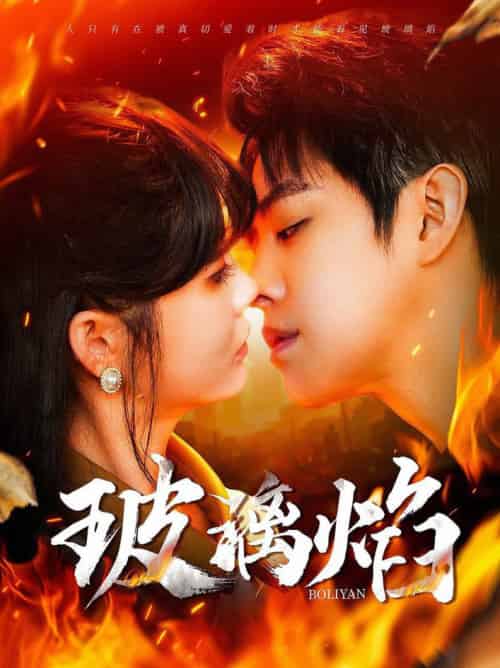 玻璃焰(108集全)王朝阳&赵美旋-搜外项目网