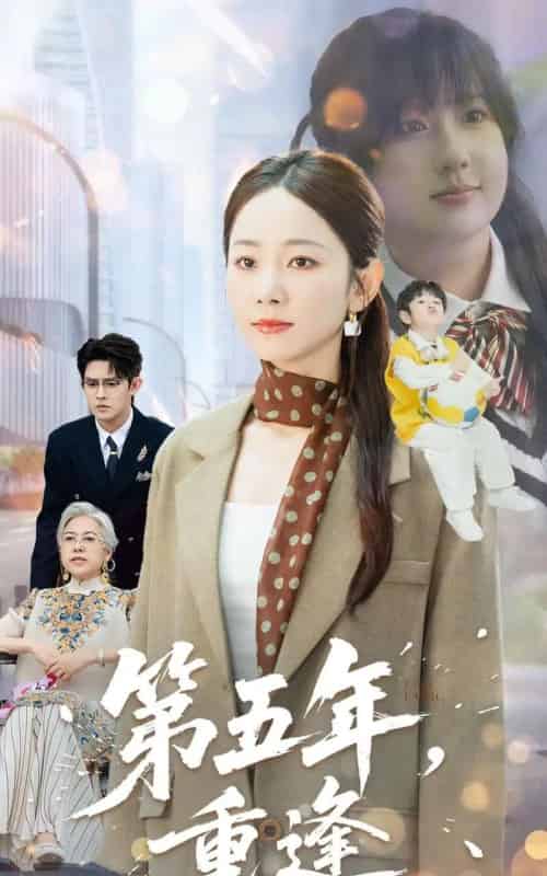第五年重逢(100集全)王朝阳&孟嘉鑫-搜外项目网